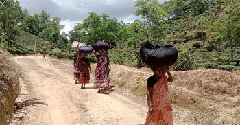 প্রচারণা জেলা শহরে, গণভোট কী জানেন না চা শ্রমিক-গ্রামের ভোটাররা