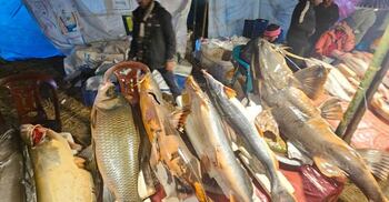 মৌলভীবাজারে শতবর্ষী মাছের মেলা