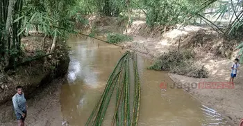 সংরক্ষিত বন থেকে উজাড় হচ্ছে গাছ-বাঁশ