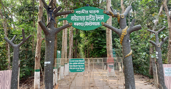 চায়ের রাজ্যে দেখা নেই পর্যটকের