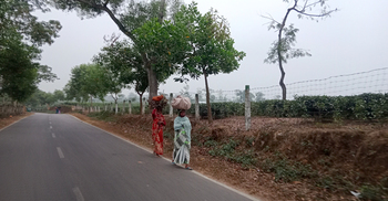 সর্বনিম্ন তাপমাত্রায় কাঁপছে মৌলভীবাজার