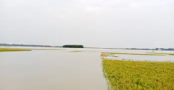 পাহাড়ি ঢল-বৃষ্টিতে তলিয়ে গেছে বোরো ফসল, দিশেহারা কৃষক