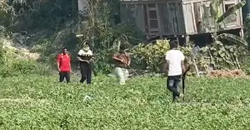 বিএনপি-স্বতন্ত্র প্রার্থীর সমর্থকদের মধ্যে সংঘর্ষ, গুলিবিদ্ধ ৩