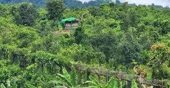 3 Myanmar army members take refuge in Bangladesh