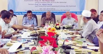 পোকার আক্রমণে দেশে ১২ শতাংশ ধান বীজের ক্ষতি