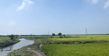 মাশরাফির চেষ্টায় ২০ মরা খালে ফিরেছে প্রাণ, কৃষকের ভাগ্য বদল