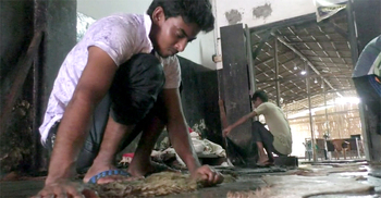 সংরক্ষণে প্রস্তুত নাটোরের চামড়া ব্যবসায়ীরা, বকেয়া পরিশোধের দাবি