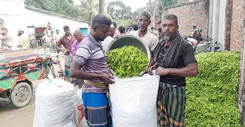 নওগাঁয় কাঁচামরিচের ঝাঁজ, দুই সপ্তাহের ব্যবধানে কেজিতে বাড়লো ১৫০ টাকা