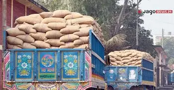 ধান-চালের বাজারে ধস, ‘ইন্টেরিম’কে দুষছেন কৃষক-ব্যবসায়ীরা