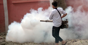 ‘মশারি টানাই কয়েল জ্বালাই, এরপরও মশা কামড়ায়’