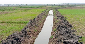 দূত-পাতাল বিলে খাল খননে প্রাণ ফিরেছে ৩০০ বিঘা পতিত জমির