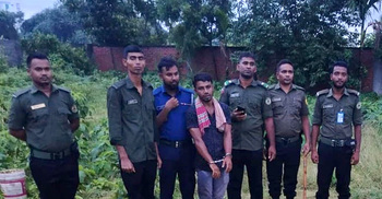 গভীর রাতে ঘোড়া জবাই করে মাংস প্রস্তুতের চেষ্টা, একজন আটক