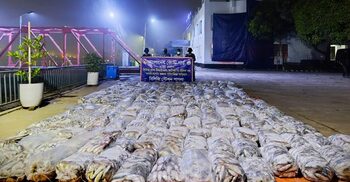 নারায়ণগঞ্জে ৭০ লাখ টাকার জাটকা জব্দ