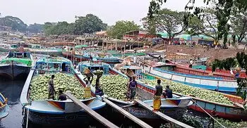 চাহিদার তুলনায় তরমুজের জোগান বেশি, লোকসানের শঙ্কা