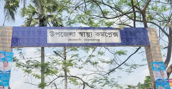 সোনারগাঁয়ে শেয়ালের কামড়ে নারী-শিশুসহ আহত ১৫