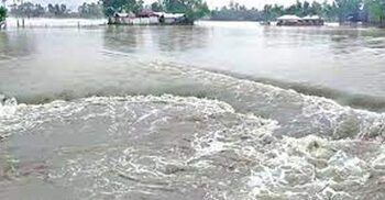 ফারাক্কার গেট খোলায় নাটোরে পানি বাড়ছে পদ্মায়