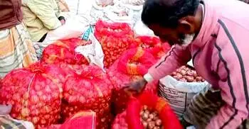 নাটোরে খরচের টাকাও উঠছে না পেঁয়াজ চাষিদের