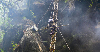 Himalayan honey hunters face climate crisis
