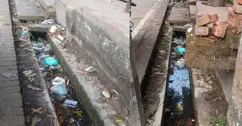 মশায় অতিষ্ঠ পৌরবাসী, ৮ লাখ টাকা বরাদ্দ থাকলেও সুফল নেই