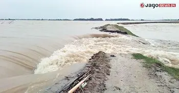 গড়াডোবা হাওরে ফসল রক্ষা বাঁধ ভেঙে পানি প্রবেশ, আতঙ্কে কৃষক