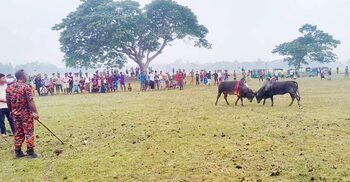 মদনে জমজমাট জুয়ার আসর বন্ধ করলেন ইউএনও