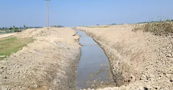 শেষ হয়নি ফসলরক্ষা বাঁধের কাজ, ঝুঁকিতে হাওরের বোরো ধান