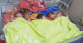 একসঙ্গে তিন সন্তানের জন্ম দিলেন বিউটি