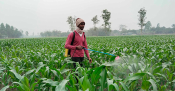 নীলফামারীতে পাঁচদিনেও দেখা মেলেনি সূর্যের