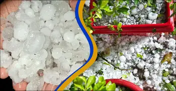 নীলফামারীতে কালবৈশাখী-শিলাবৃষ্টিতে ফসলের ব্যাপক ক্ষতি