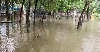 হাতিয়ায় নিম্নাঞ্চল প্লাবিত, লক্ষাধিক মানুষ পানিবন্দি