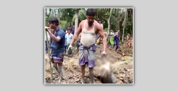 দুই বছর পর মা-ছেলের কঙ্কাল মিললো পুকুরে, গ্রেফতার ৩