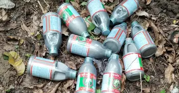 নকল কালটারে কপাল পুড়ছে আমচাষিদের