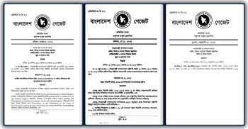 What will be the fate of 133 ordinances of interim govt?