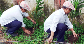 পেশা শিক্ষকতা, নেশা বৃক্ষরোপণ-মানবসেবা