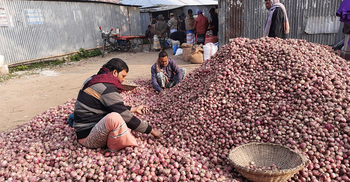 মুহূর্তে পেঁয়াজে টইটম্বুর পাবনার হাট, দাম কমলো দুই হাজার
