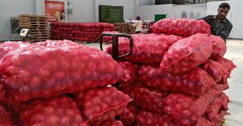 India lifts ban on onion exports