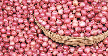 পেঁয়াজ আমদানির অনুমতি দেওয়া হবে: বাণিজ্য উপদেষ্টা