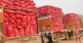 Indian onion imports resume at Benapole after 3-month hiatus