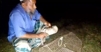 ফের ডানা মেললো জালে আটকা লক্ষ্মীপ্যাঁচা