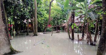পিরোজপুরে বিপৎসীমার ওপরে নদ-নদীর পানি, নিম্নাঞ্চল প্লাবিত