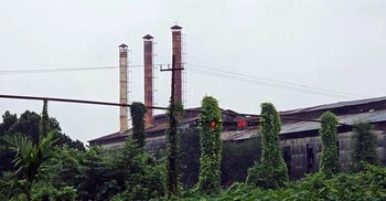 আখের অভাবে চালু হচ্ছে না পঞ্চগড় চিনিকল, শ্রমিকদের হাহাকার