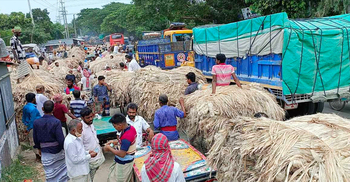 বিঘাপ্রতি পাটচাষির লোকসান ৫ হাজার টাকা