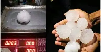 শিলাবৃষ্টিতে পাবনার লিচু ও আম চাষিদের কপালে চিন্তার ভাঁজ