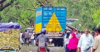 ঝড়ে ঢাকা-পাবনা মহাসড়কে ভেঙে পড়েছে গাছ, যানচলাচল ব্যাহত
