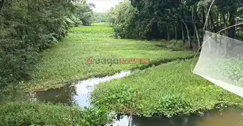 এক সময়ের আশীর্বাদ কমলা নদী এখন কৃষকের জন্য ‘অভিশাপ’