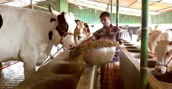 হাটে ভারতীয় গরু না ঢুকলে লাভের আশা খামারিদের