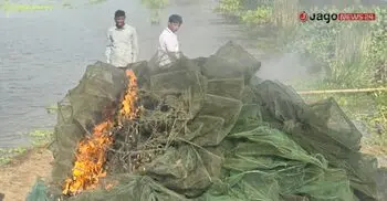 চলনবিল থেকে সাড়ে ৫ লাখ টাকার নিষিদ্ধ জাল জব্দ