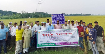 বিনা উদ্ভাবিত ধানের জাত নিয়ে মাঠ দিবস অনুষ্ঠিত