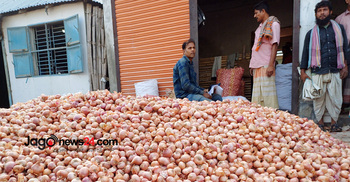 Growers rejoice as onion prices exceed production cost