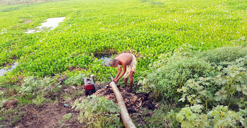 বাতাসে আগুন, কপাল পুড়ছে কৃষকের